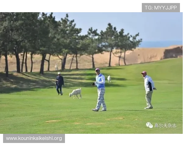 球友会官网首页网址详细介绍，帮助新手玩家轻松找到官方入口和最新活动信息